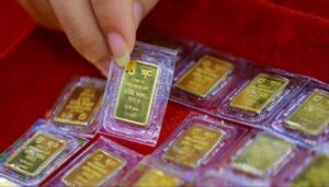 gia vang mieng knbo thumb 2123 4460
