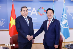 Home Thúc đẩy hợp tác nông nghiệp, an ninh lương thực giữa Việt Nam và FAO