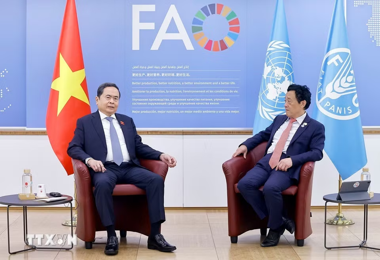 Thúc đẩy hợp tác nông nghiệp, an ninh lương thực giữa Việt Nam và FAO fao2 1776163594602758491733
